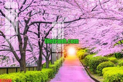 File gốc in mica File gốc in tranh nền tường tổng hợp K73386 chất lượng