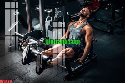 File in trần File gốc in tranh nền tường tổng hợp K73429 (bản gốc) đại dương