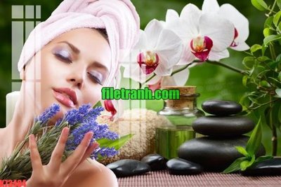 File tranh File gốc in tranh nền tường tổng hợp K73484 (gốc) in film