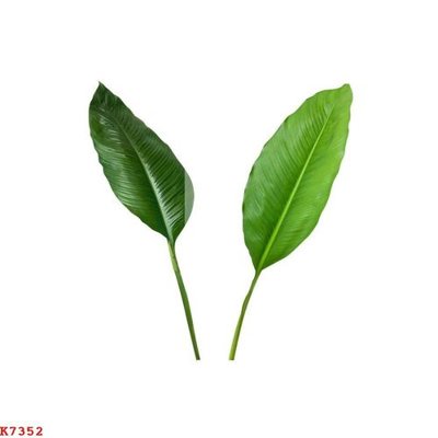 Ảnh gốc File gốc in tranh tổng hợp K7352 (nét căng) in mica