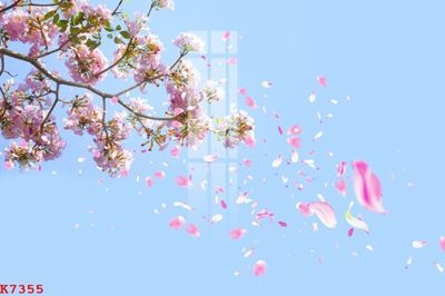 File in trần File gốc in tranh tổng hợp K7355 (file gốc) xuyên sáng