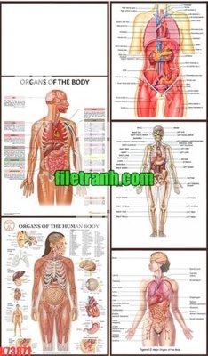 Tải file File gốc in tranh nền tường tổng hợp K73871 (PSD) cho in ấn quảng cáo