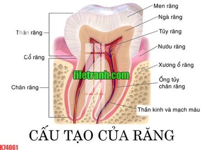 File ảnh File gốc in tranh nền tường tổng hợp K74061 (gốc) in biển hiệu