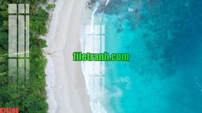 File tranh File gốc in tranh nền tường tổng hợp K74268 (gốc) in film