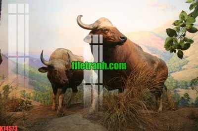 File ảnh File gốc in tranh nền tường tổng hợp K74573 (gốc) cho trang trí nội thất