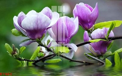 File in lụa File gốc in tranh tổng hợp K7461 (chất lượng cao) File gốc in tranh tổng hợp K7461