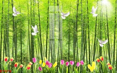 File ảnh File gốc in tranh tổng hợp K7478 (gốc) in decal dán tường