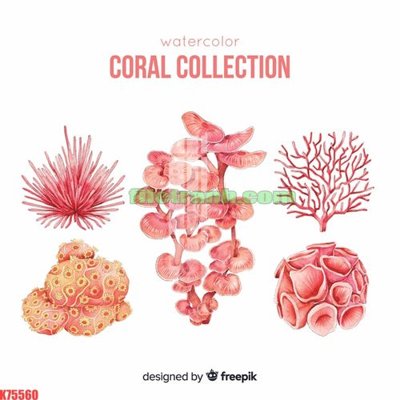 File gốc File gốc in tranh nền tường tổng hợp K75560 (ảnh chi tiết) để in ấn