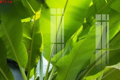 File tranh File gốc in tranh tổng hợp K7574 (file gốc) chuẩn màu in