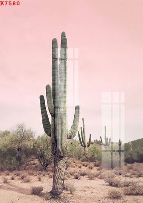 Ảnh gốc File gốc in tranh tổng hợp K7580 (siêu chi tiết) để in ấn