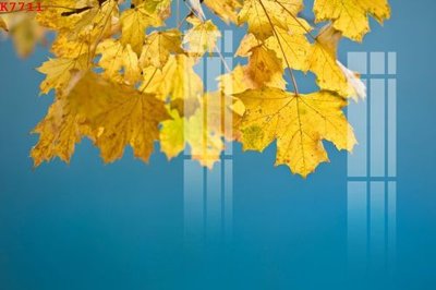 File gốc File gốc in tranh tổng hợp K7711 (trang trí) cho phòng khách