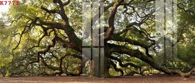 Tải file gốc in lụa File gốc in tranh tổng hợp K7771 siêu nét