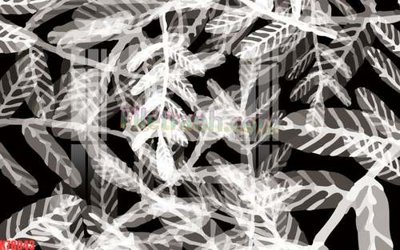 File tranh File tranh gốc dán tường đẹp K78043 (gốc) chủ đề con người