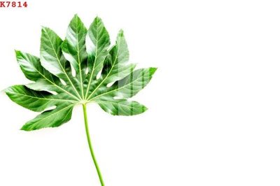 File tranh File gốc in tranh tổng hợp K7814 (bản gốc) trang trí văn phòng