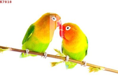 File gốc File gốc in tranh tổng hợp K7818 (in lụa) hoa văn cổ điển