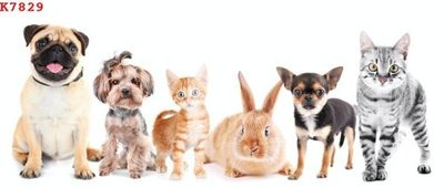 File gốc File gốc in tranh tổng hợp K7829 (phong cách) cổ điển