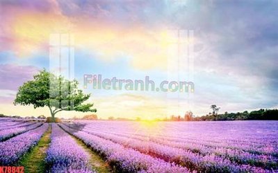 File tranh trang trí File tranh gốc dán tường đẹp K78842 (tải file gốc)