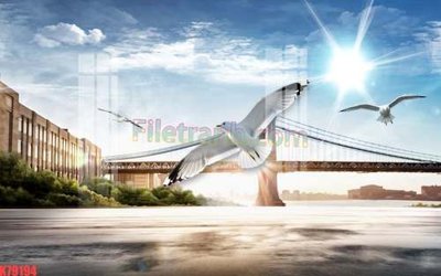 File tranh File tranh gốc dán tường đẹp K79194 (ảnh gốc) in trần xuyên sáng