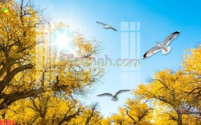 File gốc File tranh gốc dán tường đẹp K79211 (thiết kế) độc quyền