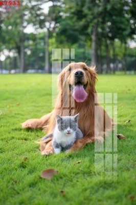 File gốc File gốc in tranh tổng hợp K7933 (in lụa) trang trí tường