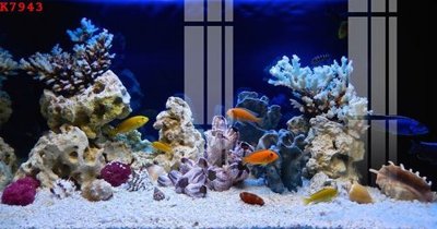 Tải về file tranh gốc File gốc in tranh tổng hợp K7943 (để in quảng cáo)