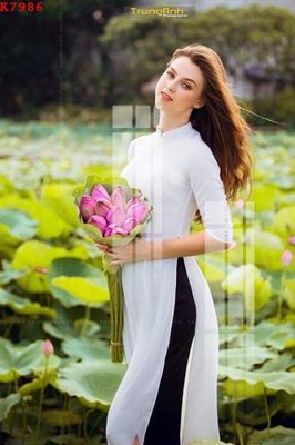 File ảnh File gốc in tranh tổng hợp K7986 (gốc) in decal dán tường