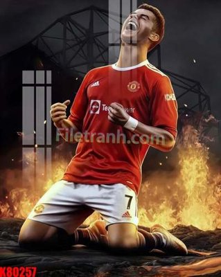 Chi tiết file ảnh File tranh gốc tổng hợp K80257 sắc nét