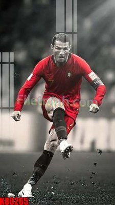 Tải file tranh File tranh gốc tổng hợp K80265 (ảnh gốc) ngay