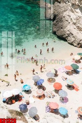 File in ấn File tranh gốc tổng hợp K81328 (bản gốc) cao cấp