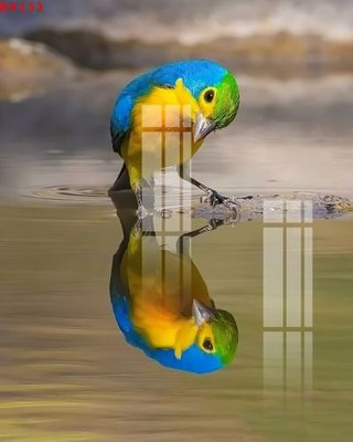 Ảnh gốc File gốc in tranh tổng hợp K8133 (nét căng) in mica