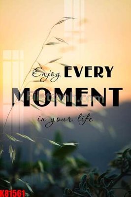 File ảnh File tranh gốc tổng hợp K81561 (gốc) in PP, decal