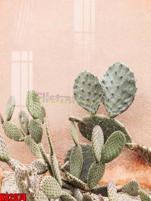 Chi tiết file tranh tráng gương File tranh gốc tổng hợp K82074 (ảnh gốc)