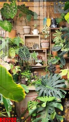 File in trần File tranh gốc tổng hợp K82282 (file gốc) chủ đề vũ trụ