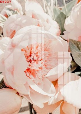 File gốc File gốc in tranh tổng hợp K8237 (PNG) chất lượng cao