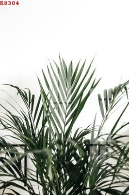 File PSD File gốc in tranh tổng hợp K8304 (bản gốc) cho nhà in