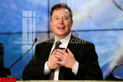 File in trần File tranh gốc tổng hợp K83067 (bản gốc) 5D