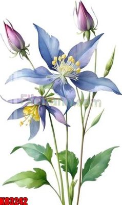 File gốc File tranh gốc tổng hợp K83242 (cho in ấn) từ kho Filetranh