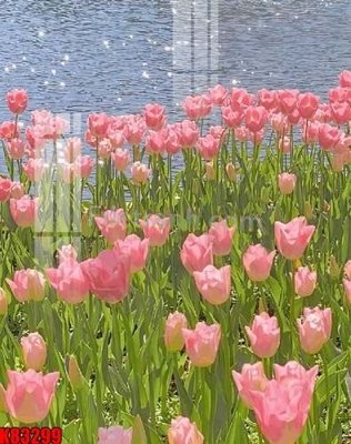 File tranh File tranh gốc tổng hợp K83299 (ảnh gốc) chi tiết rõ ràng