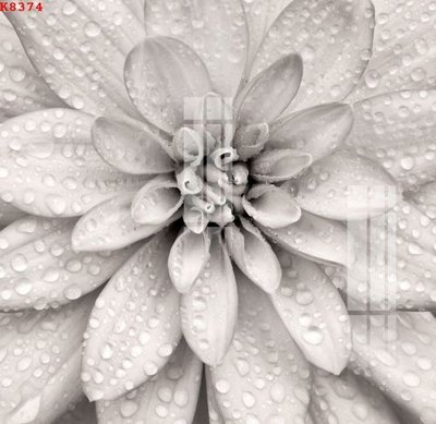 File gốc File gốc in tranh tổng hợp K8374 (PNG) không nền chất lượng