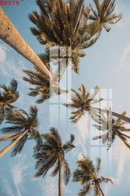 Download file File gốc in tranh tổng hợp K8379 (gốc) in mica ốp bếp