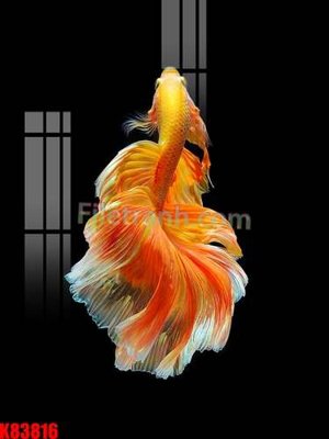 Tải xuống file tranh gốc File tranh gốc tổng hợp K83816 (PSD/TIFF)