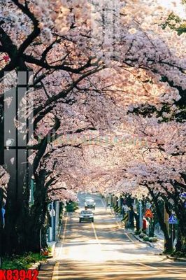 Tải file File tranh gốc tổng hợp K83942 (ảnh gốc) 300dpi File tranh gốc tổng hợp K83942