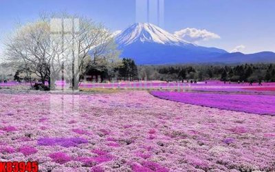 File PSD File tranh gốc tổng hợp K83945 (gốc) nhiều lớp (multi-layer)