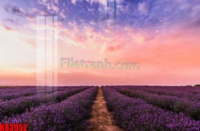 Tải file File tranh gốc tổng hợp K83952 (ảnh gốc) file AI/EPS