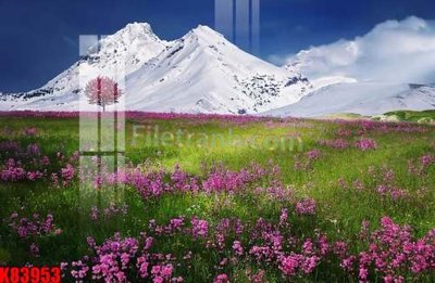 Tải file File tranh gốc tổng hợp K83953 (ảnh gốc) in gạch men