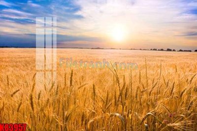 File gốc File tranh gốc tổng hợp K83957 (cho in 3D) độc đáo