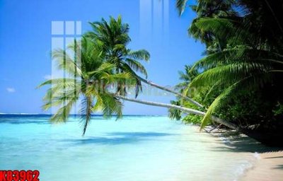 File in trần File tranh gốc tổng hợp K83962 (bản gốc) trời sao