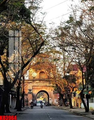 File tranh File tranh gốc tổng hợp K83964 (ảnh gốc) chi tiết rõ ràng