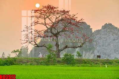 File tranh File tranh gốc tổng hợp K83972 (bản gốc) trang trí văn phòng