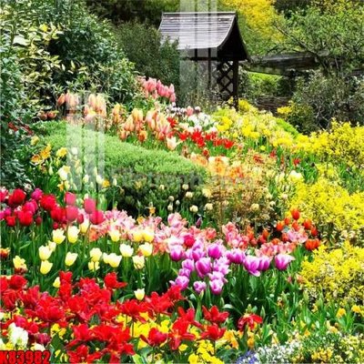 Mua file tranh gốc File tranh gốc tổng hợp K83982 tại Filetranh.com